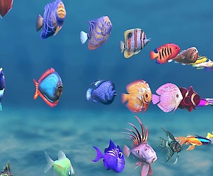 Stylized Small Fishes - RAW + Unity