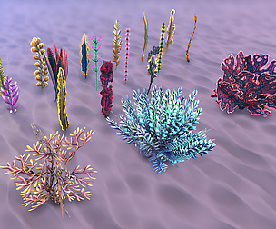 Stylized Seaweeds