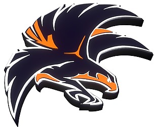 Hawk logo 1