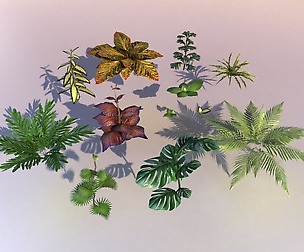 Set of plant tropic Low-poly 3D model