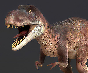Young Trex Dinosaur
