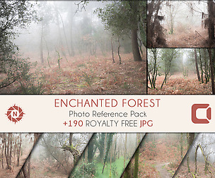 Enchanted Forest - Photo Reference Pack