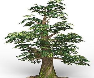 Game Ready Fantasy Tree 11