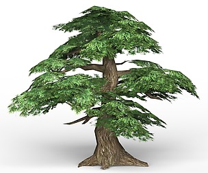 Game Ready Fantasy Tree 12