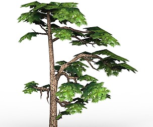 Game Ready Fantasy Tree 15