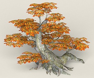 Low Poly Maple Tree 01