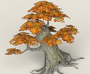 Low Poly Maple Tree 02
