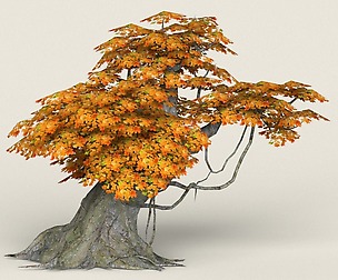 Low Poly Maple Tree 03