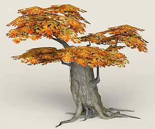 Low Poly Maple Tree 04