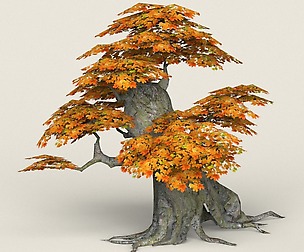 Low Poly Maple Tree 05