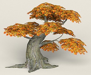 Low Poly Maple Tree 06