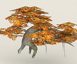 Low Poly Maple Tree 07