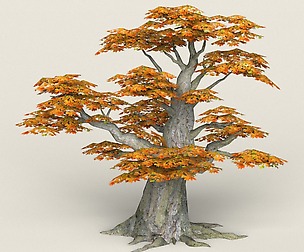 Low Poly Maple Tree 09