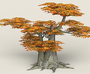 Low Poly Maple Tree 10