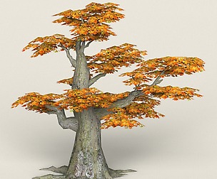 Low Poly Maple Tree 11