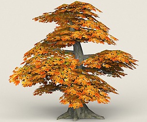 Low Poly Maple Tree 12