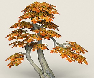 Low Poly Maple Tree 14