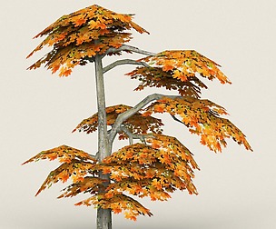 Low Poly Maple Tree 15