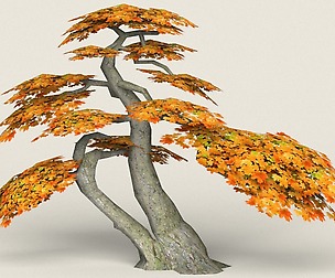 Low Poly Maple Tree 16