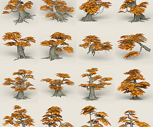 Fantasy Maple Tree Collection