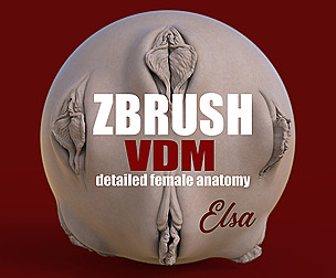 Elsa- Female Anatomy ZBrush VDM