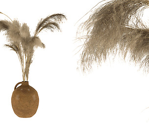 dry plants-pampas in jars of clay 3D model