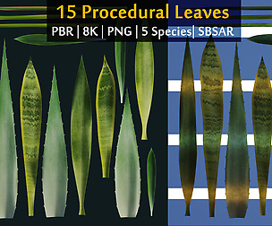 15 Leaves Atlas | 5 Species | PBR | 8K | SBSAR