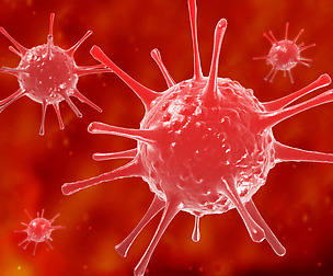 Viruses bacteria Science cells nerve cells neurons