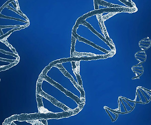 DNA sequencing RNA genetics