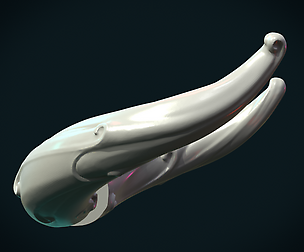 Horns