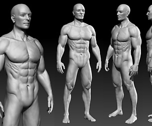 Realistic male basemesh