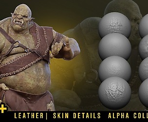 190+ LETHER | SKIN DETAILS ALPHA COLLECTION