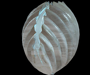 Seaside-Shell 302