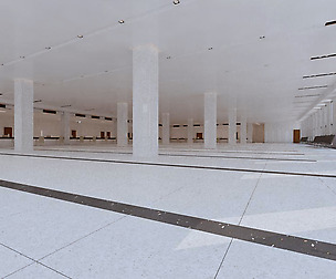 Lobby 244