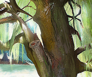 Tree Illustration - Daylight