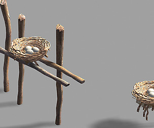 Bird's Nest 0157