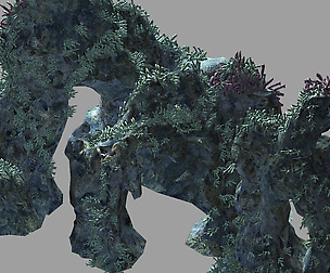 Topography-Seabed-Coral 32