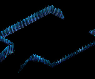 Terrain-Seabed-Fish Railing