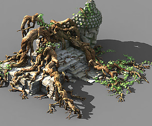 Huaguoshan Camp-Big Tree Root 03