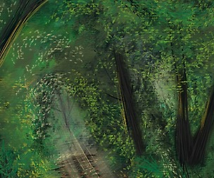 The Forest Path
