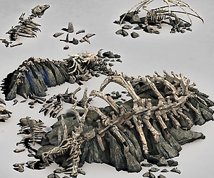 Dragon Fortress-Dragon Bone