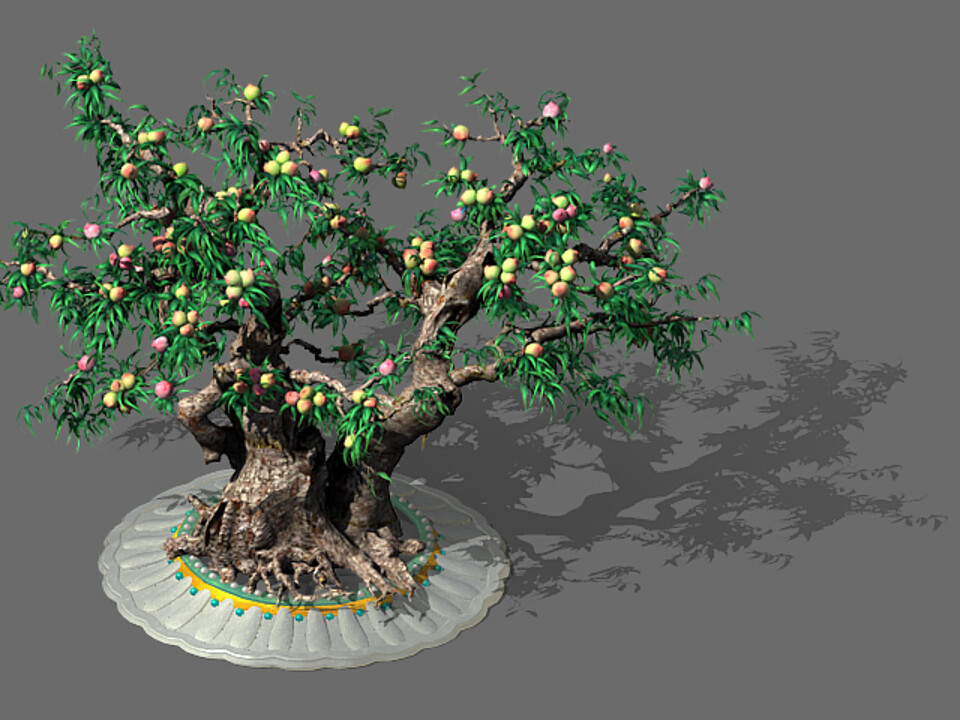 Three thousand years of flat peach trees