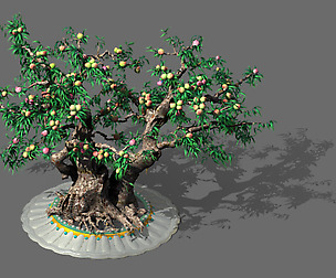 Three thousand years of flat peach trees