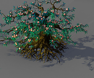 9 thousand years of flat peach tree