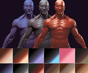 FREE PS Gradients