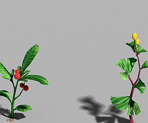 Hundred Forests-Plants-Collection-Herbs 02
