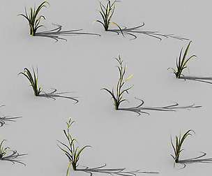 Hundred Forests-Plants-Grass 002