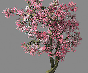 Hundred Forests-Plants-Pink Flower Tree 01