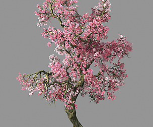 Hundred Forests-Plants-Pink Flower Tree 02