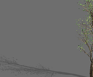 Big tree-plant-wood 02